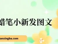 蜡笔小新情感图文项目教程，零基础也能轻松变现