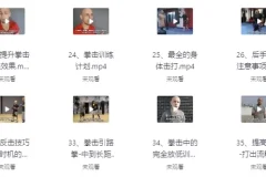 杰森拳击系统教学65课合集 中英双语字幕