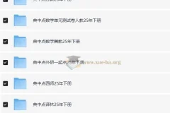 典中点小学语数英学习资料包·2025春 全科同步教辅合集