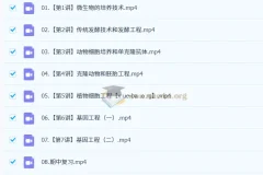 2024-2025高二生物杨雪全年课程合集：暑假班、秋季班、寒假班、春季班