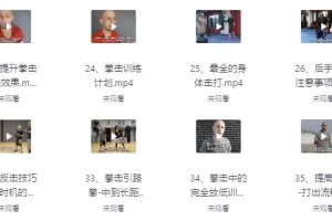 杰森拳击系统教学65课合集 中英双语字幕