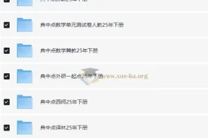 典中点小学语数英学习资料包·2025春 全科同步教辅合集