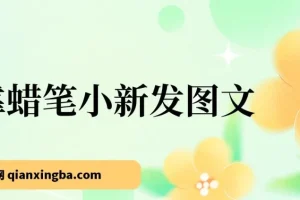 蜡笔小新情感图文项目教程，零基础也能轻松变现