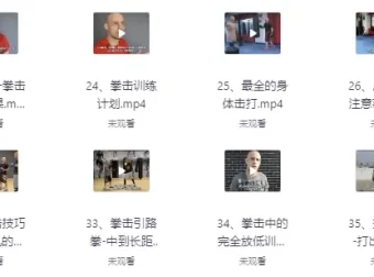 杰森拳击系统教学65课合集 中英双语字幕