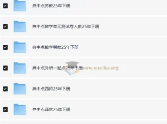 典中点小学语数英学习资料包·2025春 全科同步教辅合集