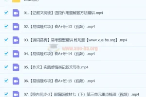 2024春季A+班初一语文培训课程（宋北平）持续更新