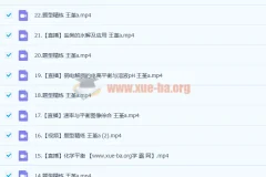 2023高考化学王嫤A班一轮复习暑假班+秋季班（22讲更新）系统课程