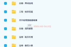 月升绘馆绘画课程合集：11套系统国画教学视频