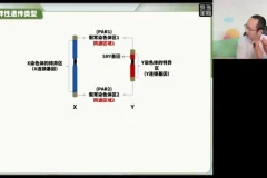 2024徐京高考生物点睛押题卷（全国各省卷+解析）备考冲刺资料