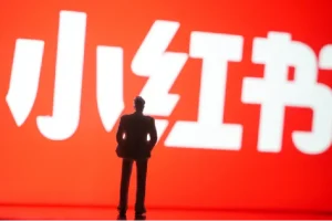 小红书养号秘籍：自动涨粉与系统标签打造高权重账号全攻略