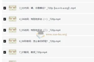 英语通俗语法：从零到精通的全套视频课程