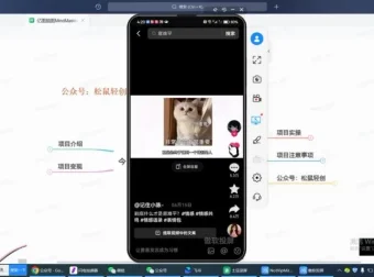 文字动画视频项目教程：从入门到变现全流程解析