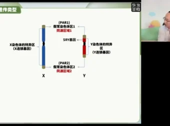 2024徐京高考生物点睛押题卷（全国各省卷+解析）备考冲刺资料