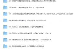 2025最新网创项目合集，事业赚钱必学教程