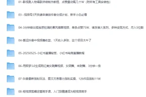 2025最新网创项目合集，事业赚钱必学教程