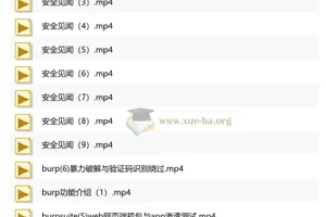 泷羽SEC红队全栈实战课程：从基础到渗透的系统化安全攻防教程