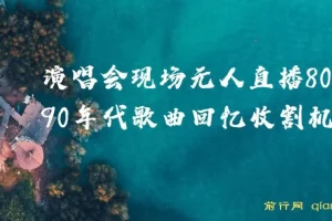 8090年代歌曲无人直播项目，演唱会现场回忆杀，挂载小风车日入1000+