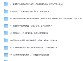 2025最新网创项目合集，事业赚钱必学教程