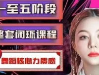 涵爷一至五阶段舞蹈核心力质感开发课程，首套闭环训练体系
