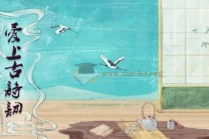 爱上古诗词：全套视频课程+课件+MP3音频+讲义资料