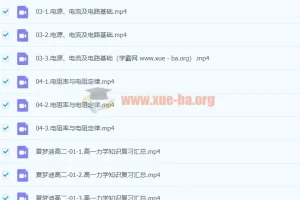 夏梦迪 2024高二物理上学期课程精讲