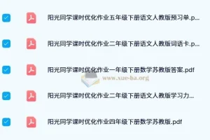 2024阳光同学课时优化作业 小学1-6年级下册全科资料包