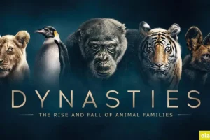 BBC纪录片《王朝 Dynasties》2018英文版全5集 中英双字幕高清收藏