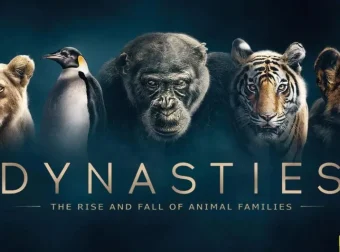BBC纪录片《王朝 Dynasties》2018英文版全5集 中英双字幕高清收藏