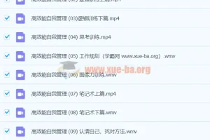 高效能自我管理学霸班：系统构建个人知识体系与行动力