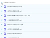 2025高中高一英语 王双林英语全年系统课程