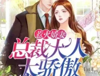 有声小说《惹火娇妻：总裁大人太骄傲》温暖柔光江小白播讲749集