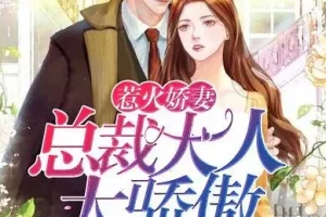 有声小说《惹火娇妻：总裁大人太骄傲》温暖柔光江小白播讲749集