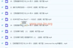 2024初三中考化学 杨雯智 A+暑假班 系统课程