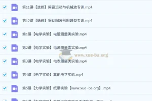 林婉晴2026高三高考物理二轮寒假班精讲