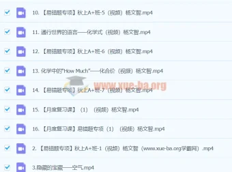 2024初三中考化学 杨雯智 A+暑假班 系统课程