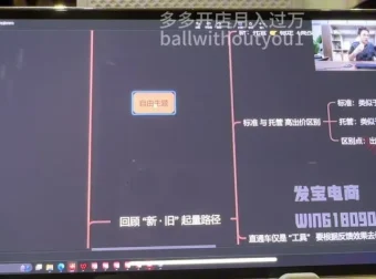 拼多多运营3节课：7-8月爆款实操技巧（纪主任亲授）