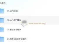 颉斌斌英语阅读初级课程：66句实战与语法词汇精讲