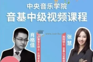 中央音乐学院中级音基视频课（新版）完整版