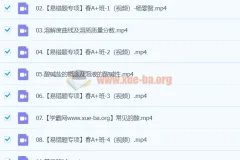 2024初三中考化学 杨雯智 A+ 寒假班（春上）系统课程
