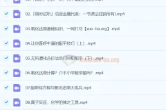 2025高考化学冲刺：张子涵化学元素突破营系统课程