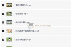 徐源小学数学四年级数学培训S班（2025年全套课程）