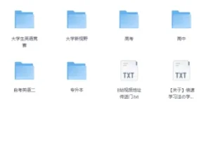 B站最全单词库：图欧英语全套单词视频（你这辈子要背的单词都在这里）[MP4+PDF]