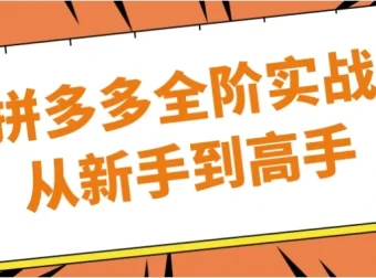拼多多全阶实战：从新手到高手的运营进阶指南