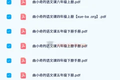 曲小奇的语文课（24春版）——小学语文同步学习资料合集
