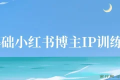 零基础小红书博主IP特训营第5期：37天从小白到KOL（13节视频+作业）
