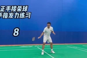 迪迪王羽毛球64节PRO特训课：30天系统提升高远球、杀球与反拍技术