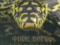 中国蛇类图鉴（全两册）：245种野生蛇类系统识别与生态图谱
