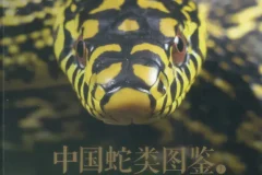 中国蛇类图鉴（全两册）：245种野生蛇类系统识别与生态图谱