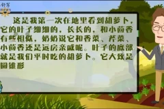 云舒写小学3-4年级写作素材课程（第二期）每日一段系统训练
