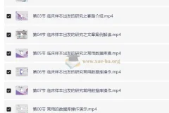 小张老师49节SCI论文实战课：从零基础到发表3分文章